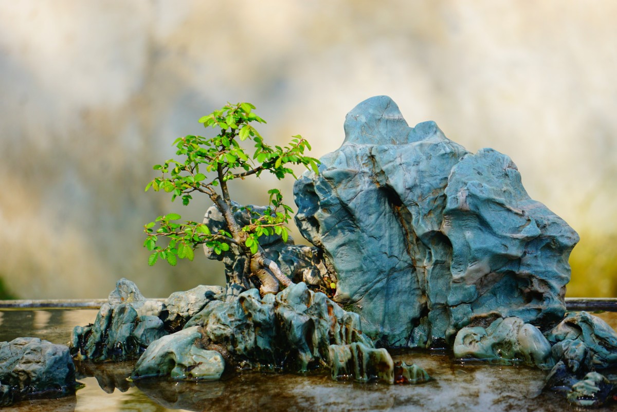 古鎮(zhèn)游玩，有一種說走就走的旅行