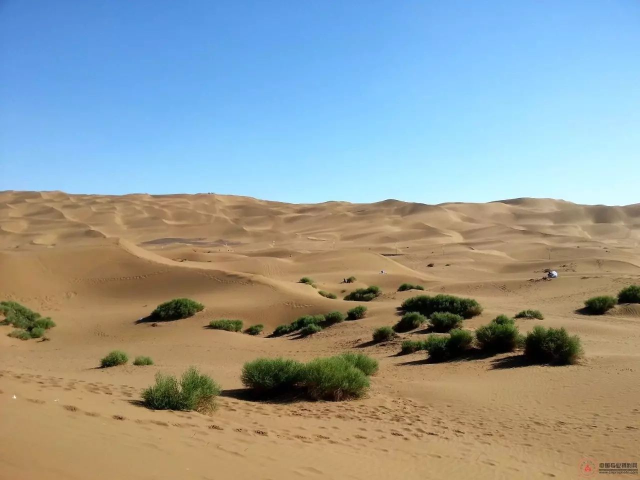 雕塑之魂：從干裂的土地上，尋找生命的意義