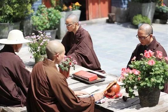 寂照庵--中國最文藝尼姑庵：心若無塵一花一世界