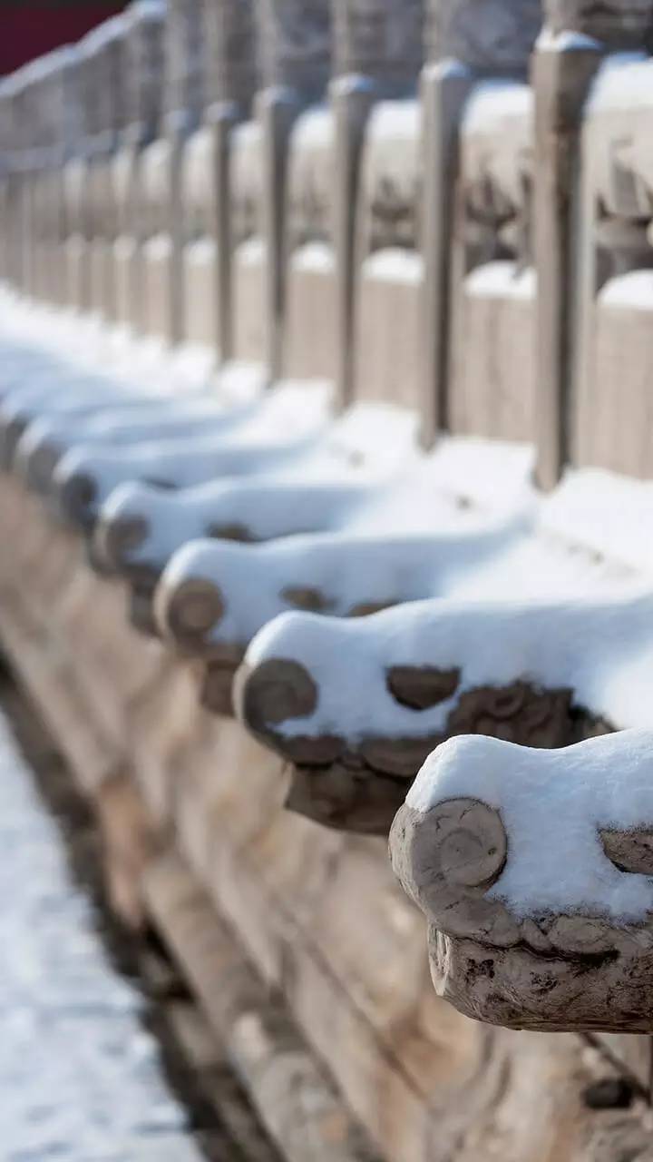 最美中國(guó)古建筑：紫禁城下雪了！