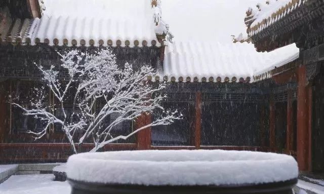 最美中國(guó)古建筑：紫禁城下雪了！