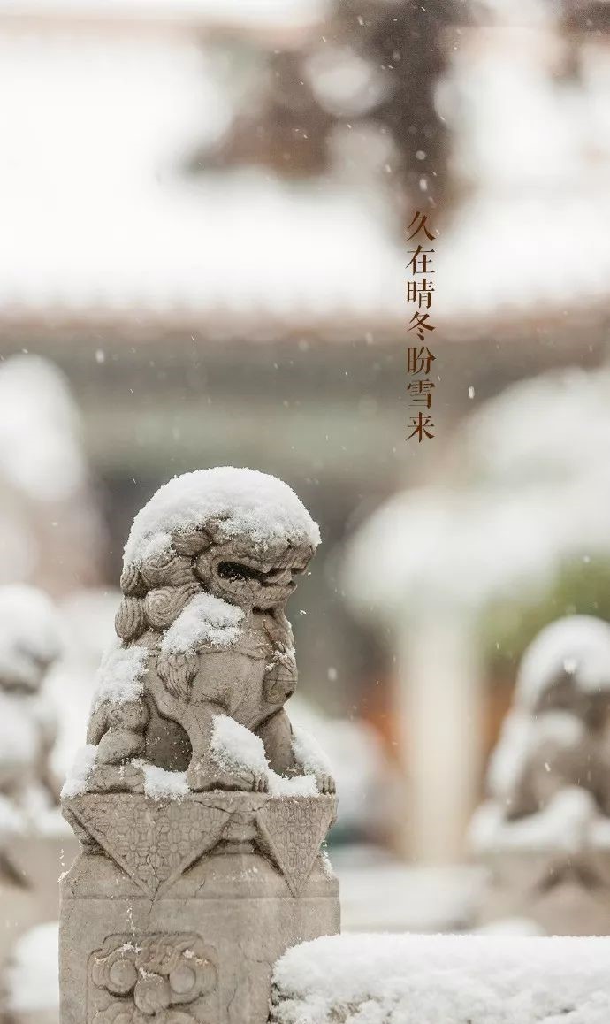 最美中國古建筑：紫禁城下雪了！