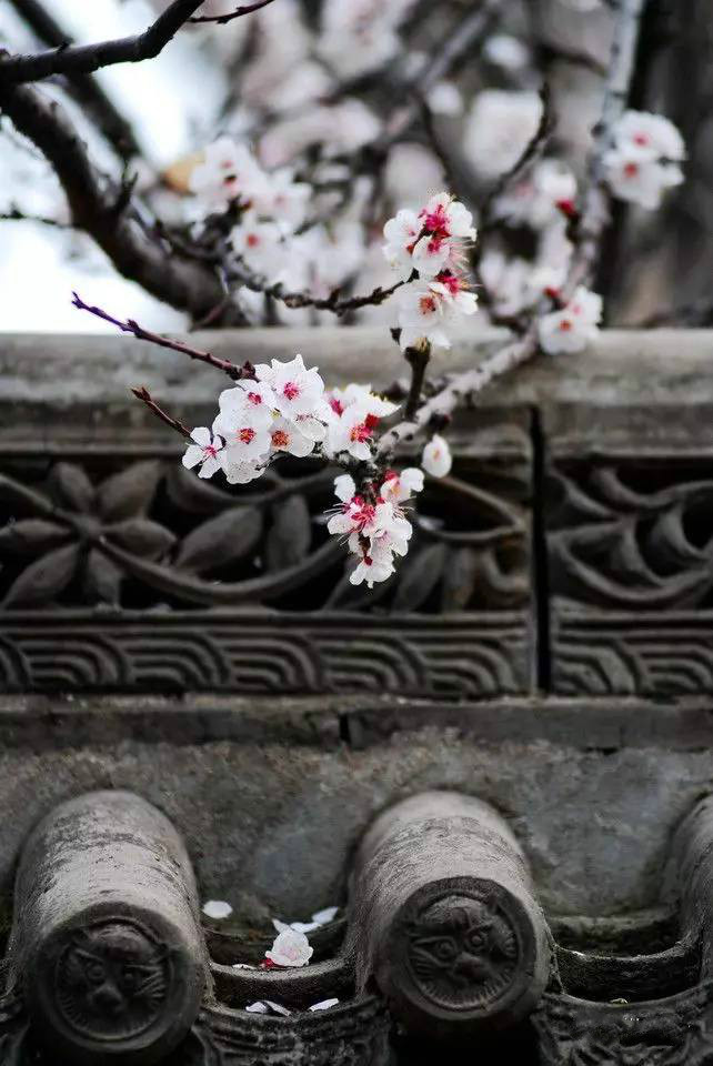 古建筑，一片瓦，遮風(fēng)擋雨