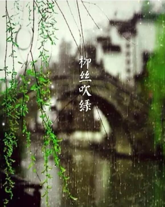 雨水：天生一水，散而為雨