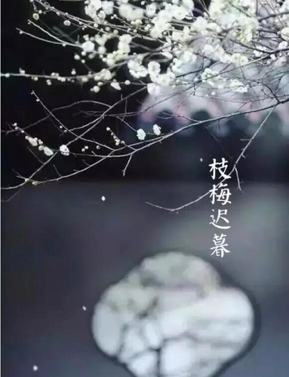 雨水：天生一水，散而為雨