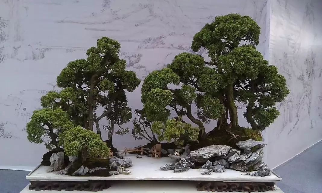 讓人驚嘆的盆景藝術(shù)：世界上最貴盆栽盆景