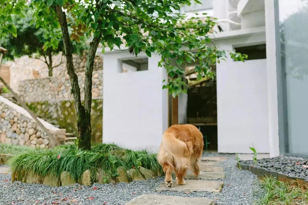 千島湖|傾境，慢生活消磨著自己的時光