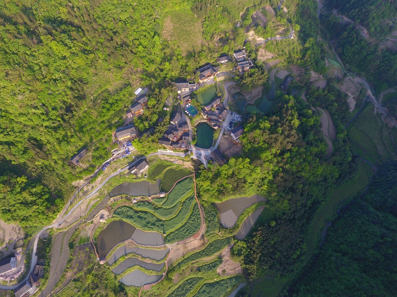 張家界·五號(hào)山谷，山谷在重生！