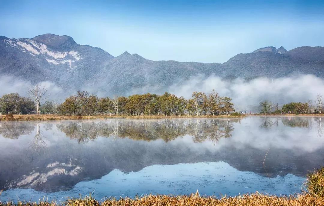 西顧·望城山居，闖入仙境等待一場花開的心動