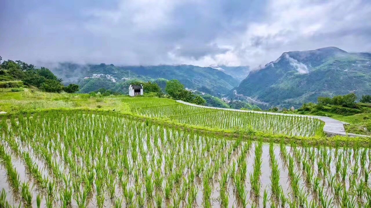 杭州·相見茶舍，若無相欠怎會相見