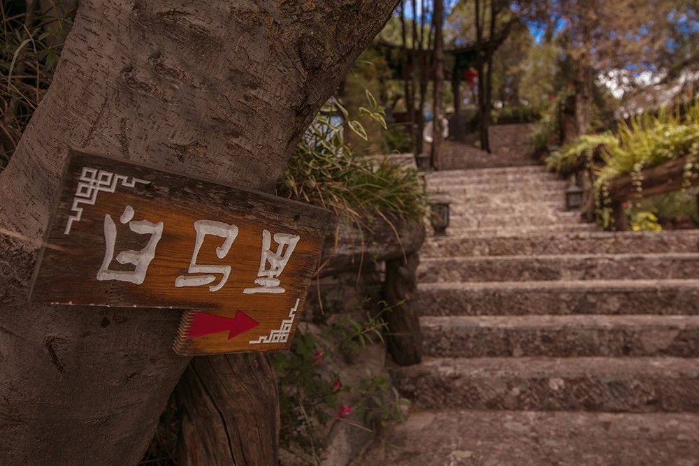 麗江·白馬里，千年古城化作最美背景