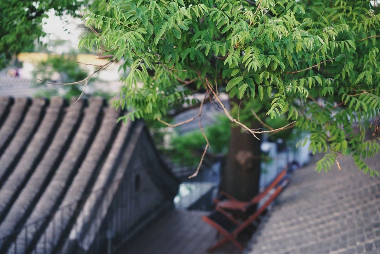 北京·有術(shù)，網(wǎng)紅建筑師青山周平的新作