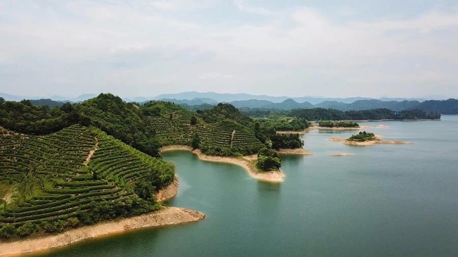 點(diǎn)叁民宿，千島湖坐船賞景豈不詩(shī)意？