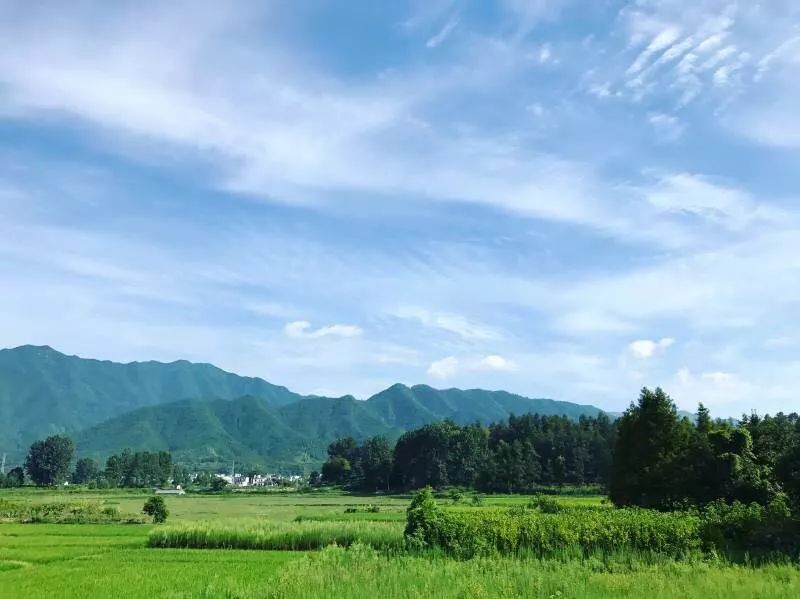 黃山·東田別野，日出而作日落而息的時光野