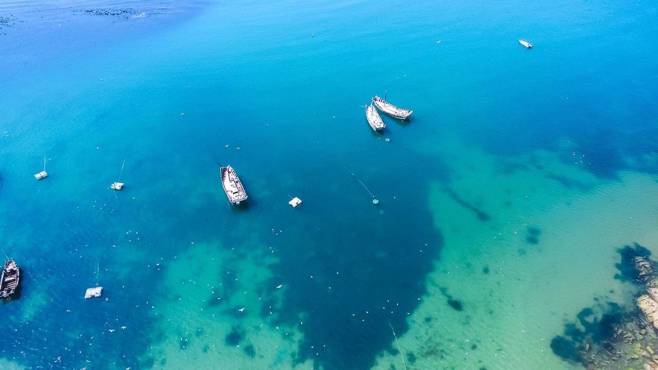 青島·瑞宿海棲，等你來就讓瑞宿帶你環(huán)游青島