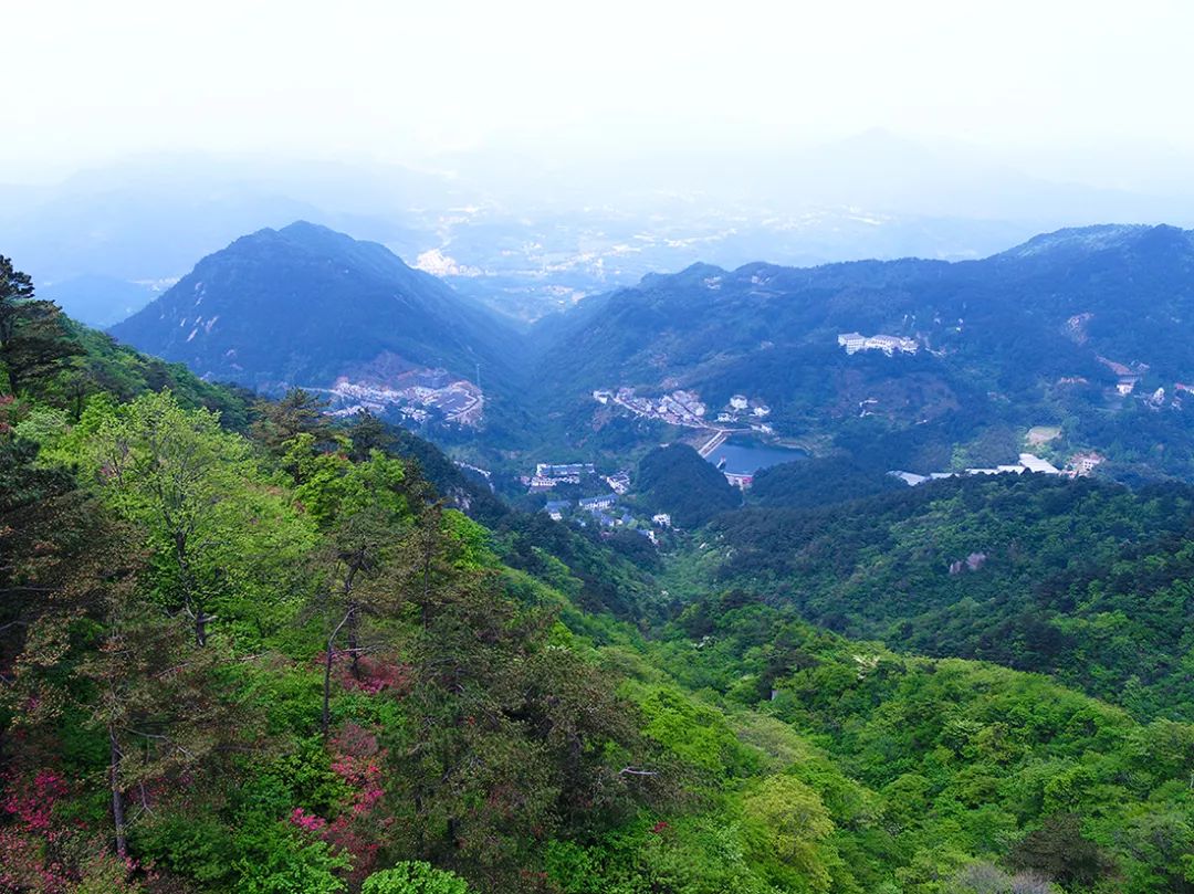 麻城·云夢如故，山里的房子就該有山里的味道