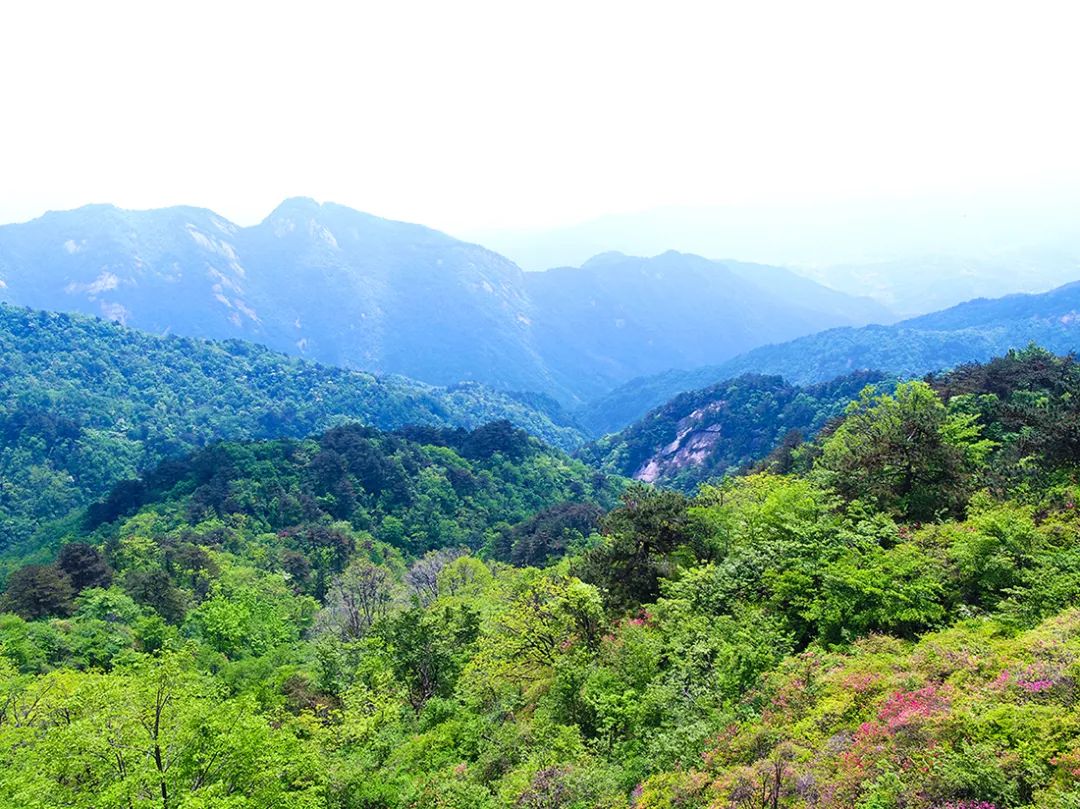 麻城·云夢(mèng)如故，山里的房子就該有山里的味道