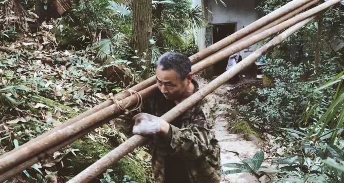 成都·坐忘森林，一宿一悟在火鍋之城住森林里