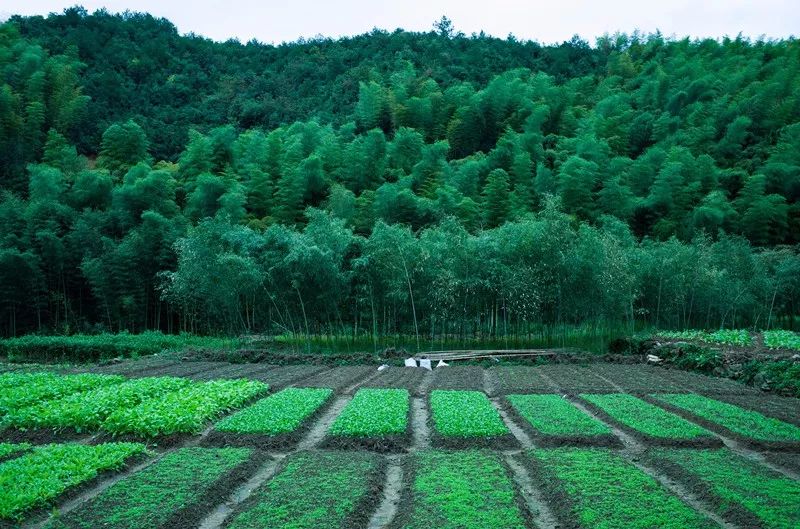 杭州·菩提谷，與你一起私有群山秘境