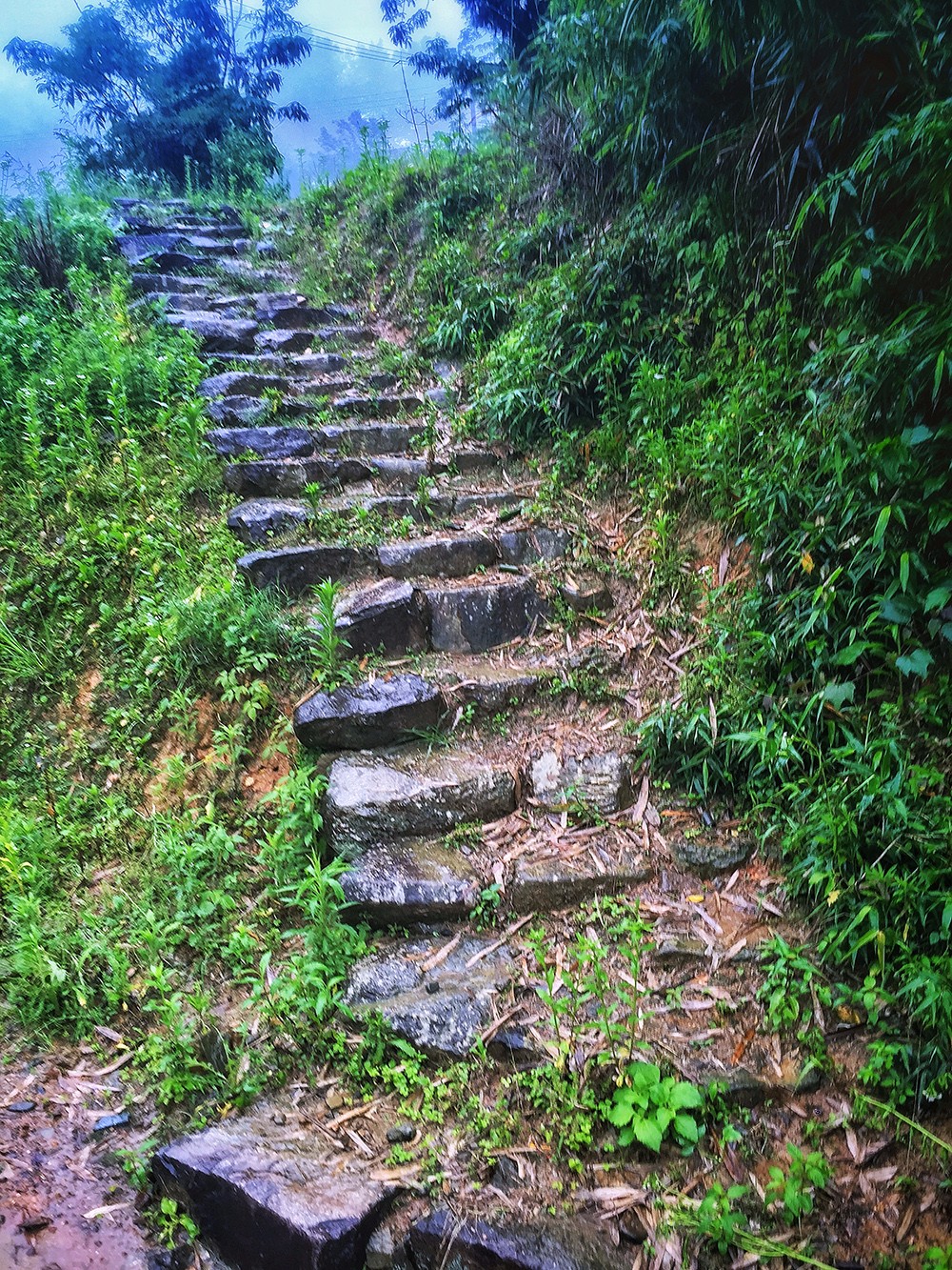 過云山居·長丘田，躺在浴缸里摘朵云