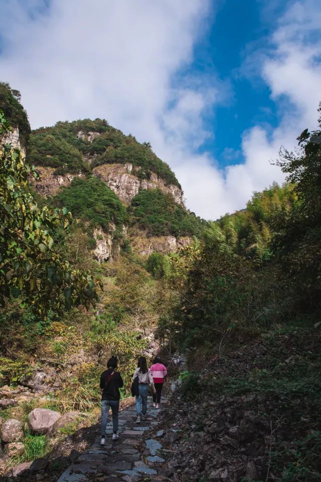 麗水·曼山居，依山而居便不知人間是何夕