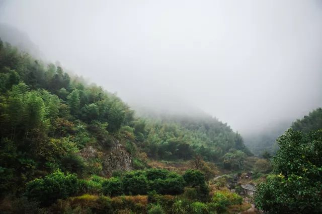 麗水·曼山居，依山而居便不知人間是何夕