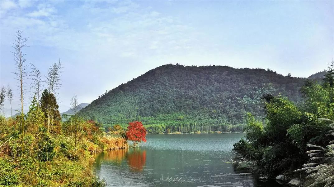 莫干山·宿里，一處桃花源建一處詩意棲居之所