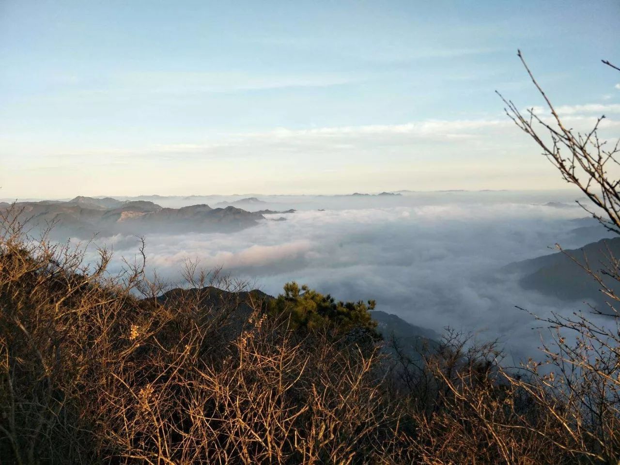 莫干山·宿里，一處桃花源建一處詩意棲居之所