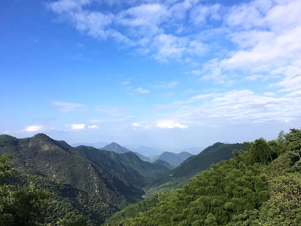 杭州·蓮社溪客，不妥協(xié)的人生才比較有趣