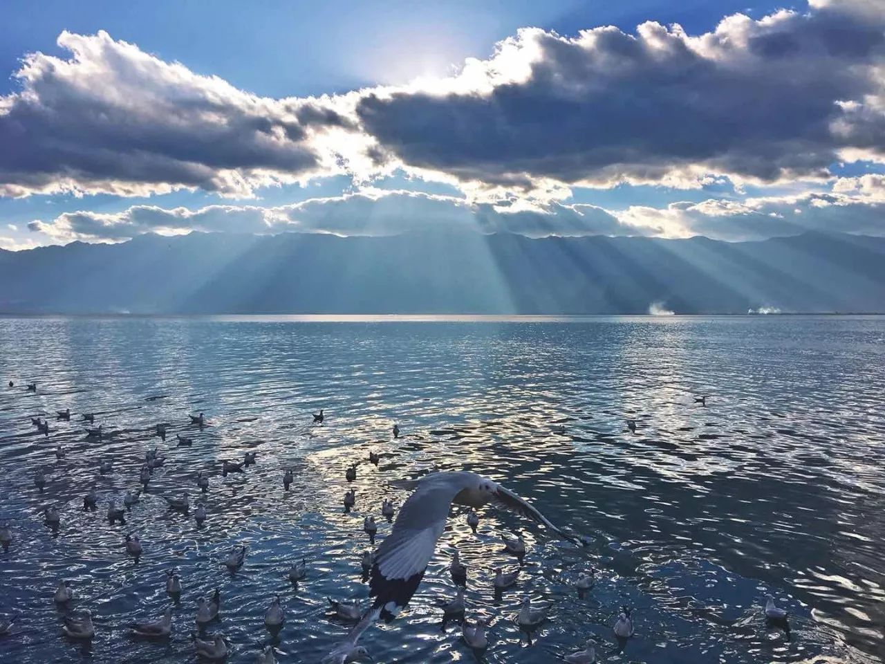 大理慢境·海景藝術(shù)客棧，海邊的微風(fēng)陽光