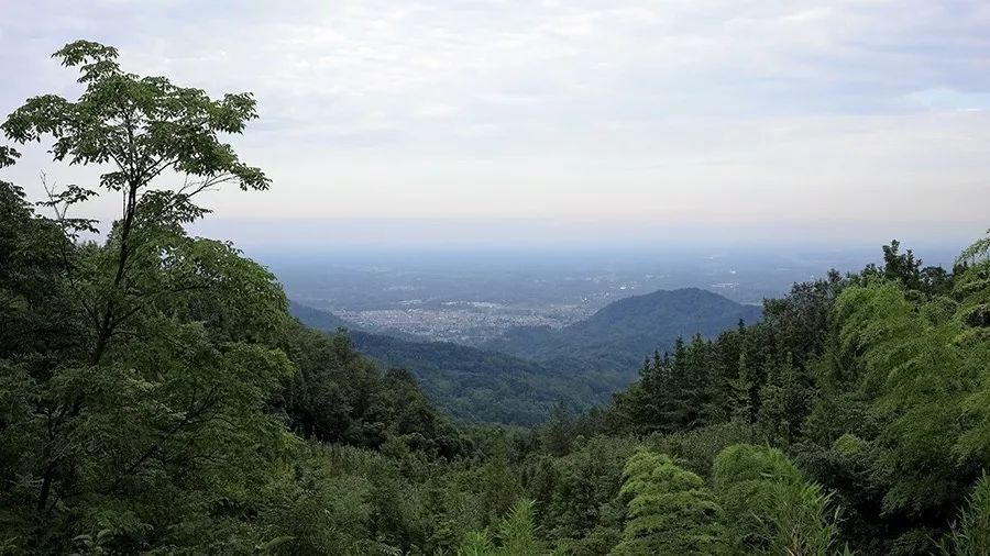 青城山·路之青城，山溝里的豬圈民宿