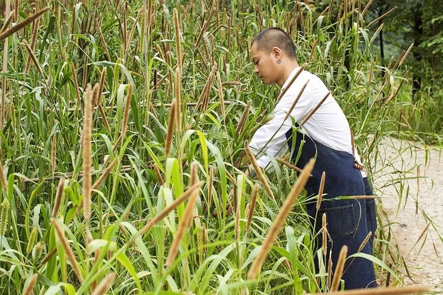 青城山·路之青城，山溝里的豬圈民宿