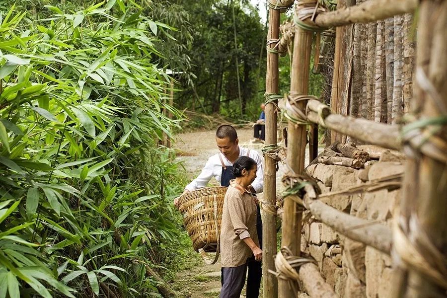 青城山·路之青城，山溝里的豬圈民宿