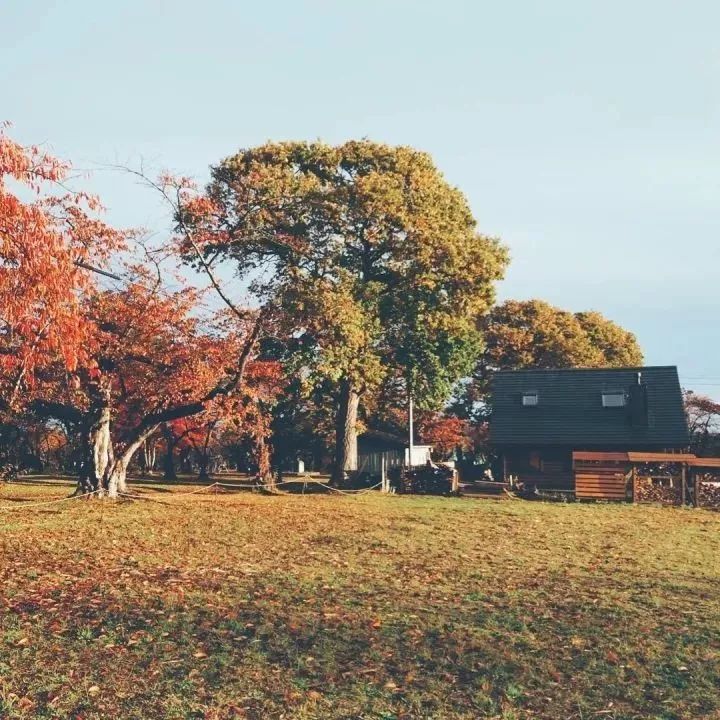 北海道的海濱小鎮(zhèn)，一家四口的日子才最幸福