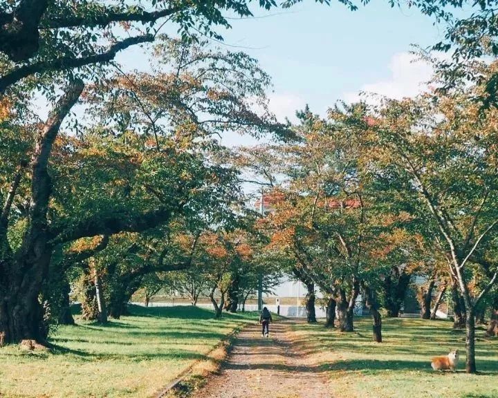 北海道的海濱小鎮(zhèn)，一家四口的日子才最幸福