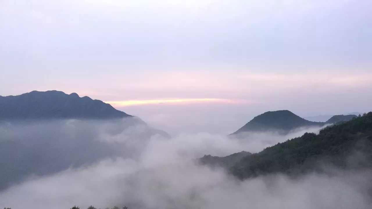 麗水·云逸遠山，在牡丹亭有個仲夏夜之夢