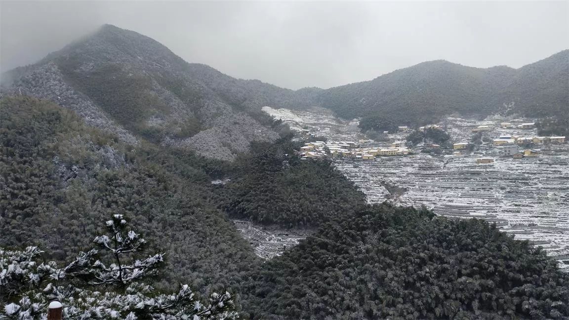 麗水·云逸遠(yuǎn)山，在牡丹亭有個(gè)仲夏夜之夢