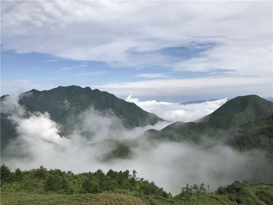 麗水·云逸遠山，在牡丹亭有個仲夏夜之夢