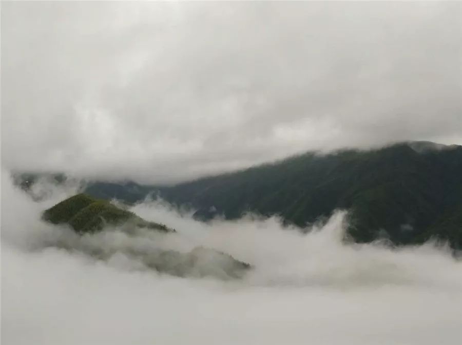 麗水·云逸遠山，在牡丹亭有個仲夏夜之夢