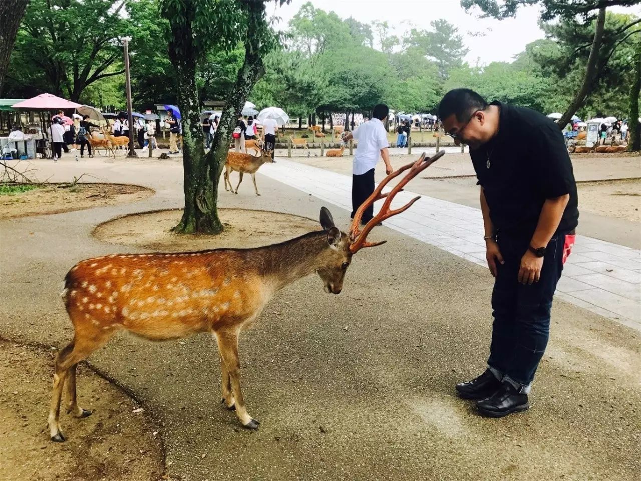 武夷山·舊街山宿，理想生活就是慢下來(lái)