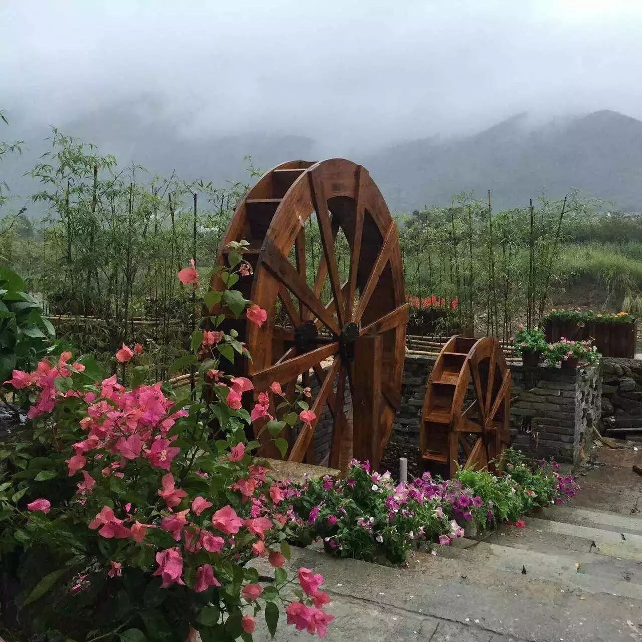 寧波·花雨醉，品花間一壺酒聽雨后醉朦朧