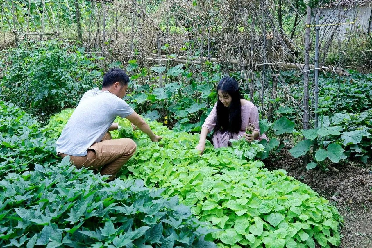 村上酒舍，體驗古村生活一起慢慢變老