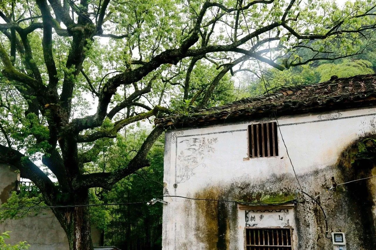 村上酒舍，體驗古村生活一起慢慢變老