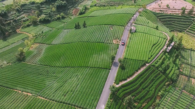 麗水·浮光，浮光指路茶香入夢(mèng)蓋一間湖畔大學(xué)