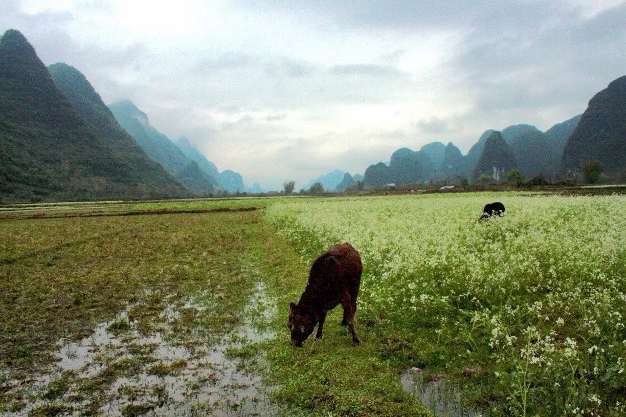 云澗阡陌·野望，特色度假小鎮(zhèn)體驗(yàn)親子主題民宿