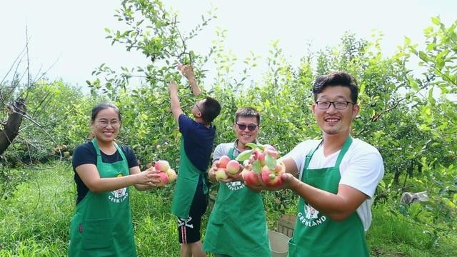 煙臺·極客客棧，歡迎每一顆想要逃離的心