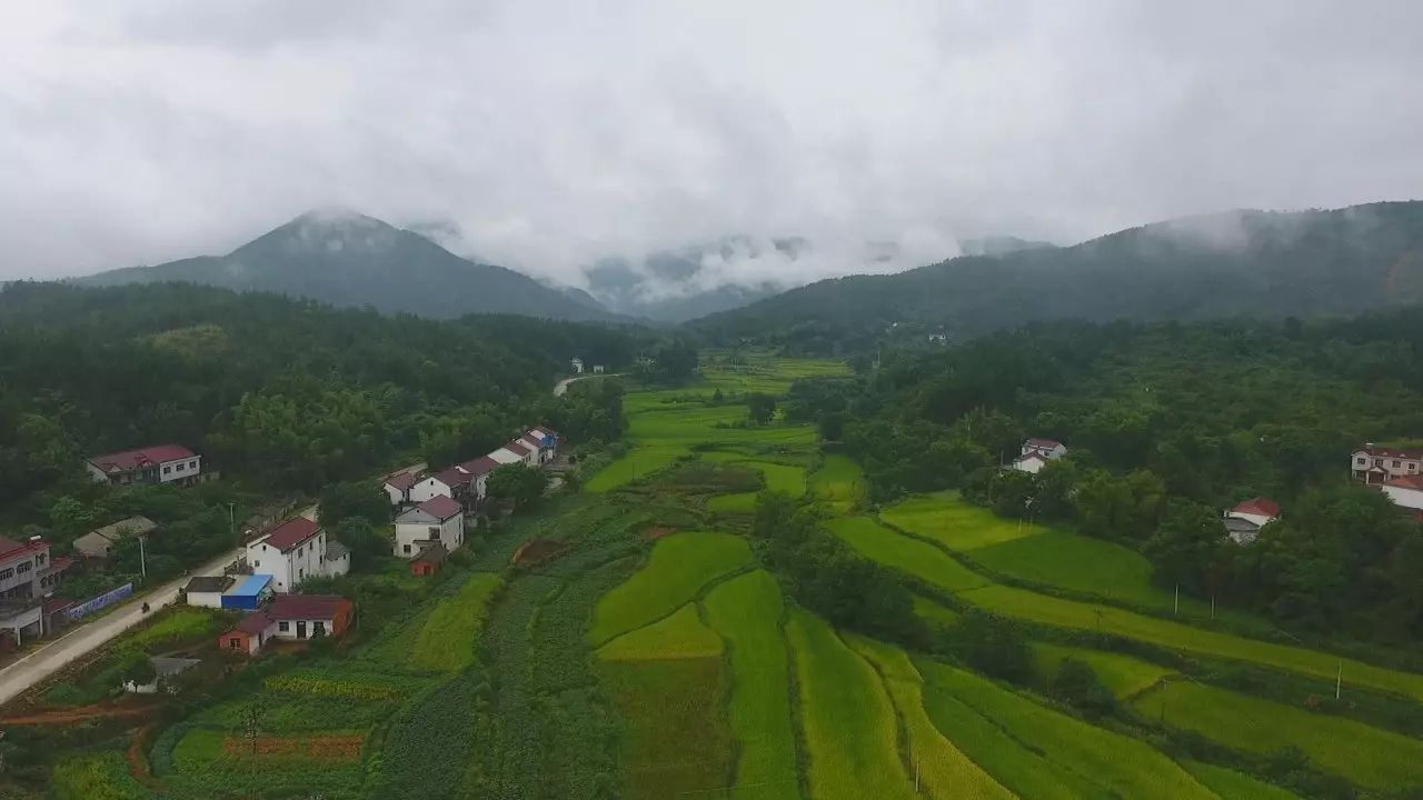 陌上·花溪堂，陌上花開笑顏傾城