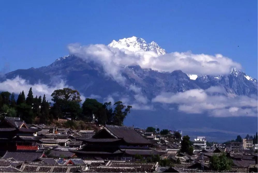 束河桃花塢，在茶馬古道浮生清閑陪父母慢慢變