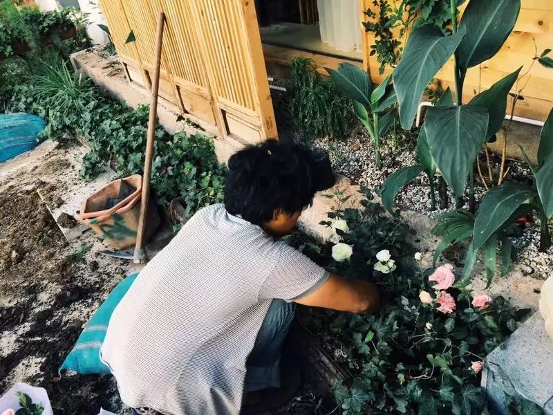 束河桃花塢，在茶馬古道浮生清閑陪父母慢慢變