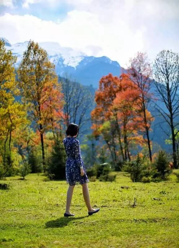 若丁山七號(hào)營地，無數(shù)人向往的“星空露營地”